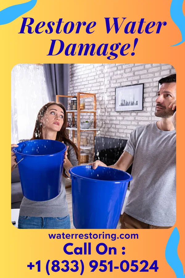 water restoration Platinum Water Removal & Sons Detroit