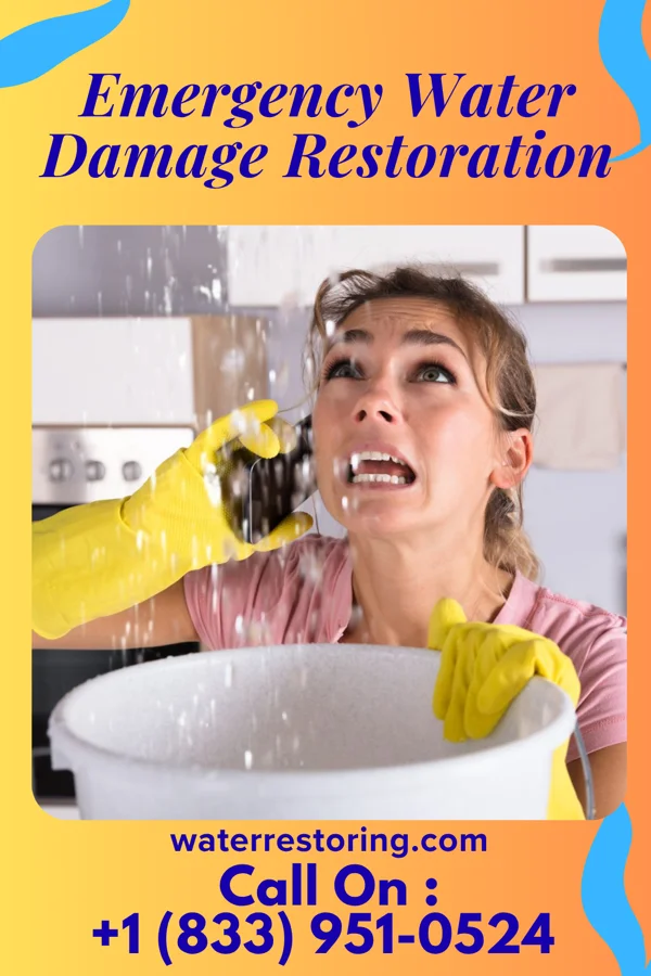 Emergency Water Damage Restoration in Detroit, AL